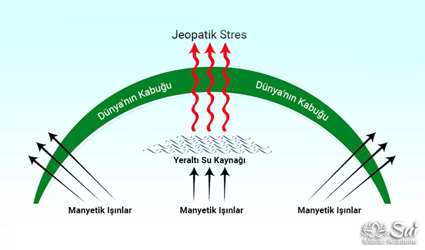 Jeopatik Stresin Tarihçesi