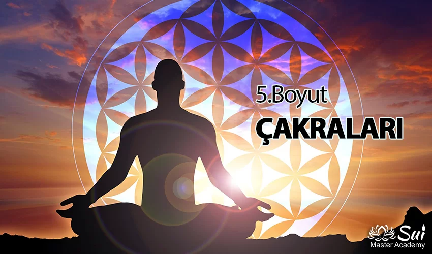 Beşinci Boyut Çakraları